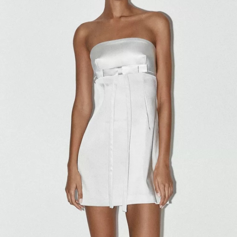 Zara Silver Strapless Tie Front Sheath Dress